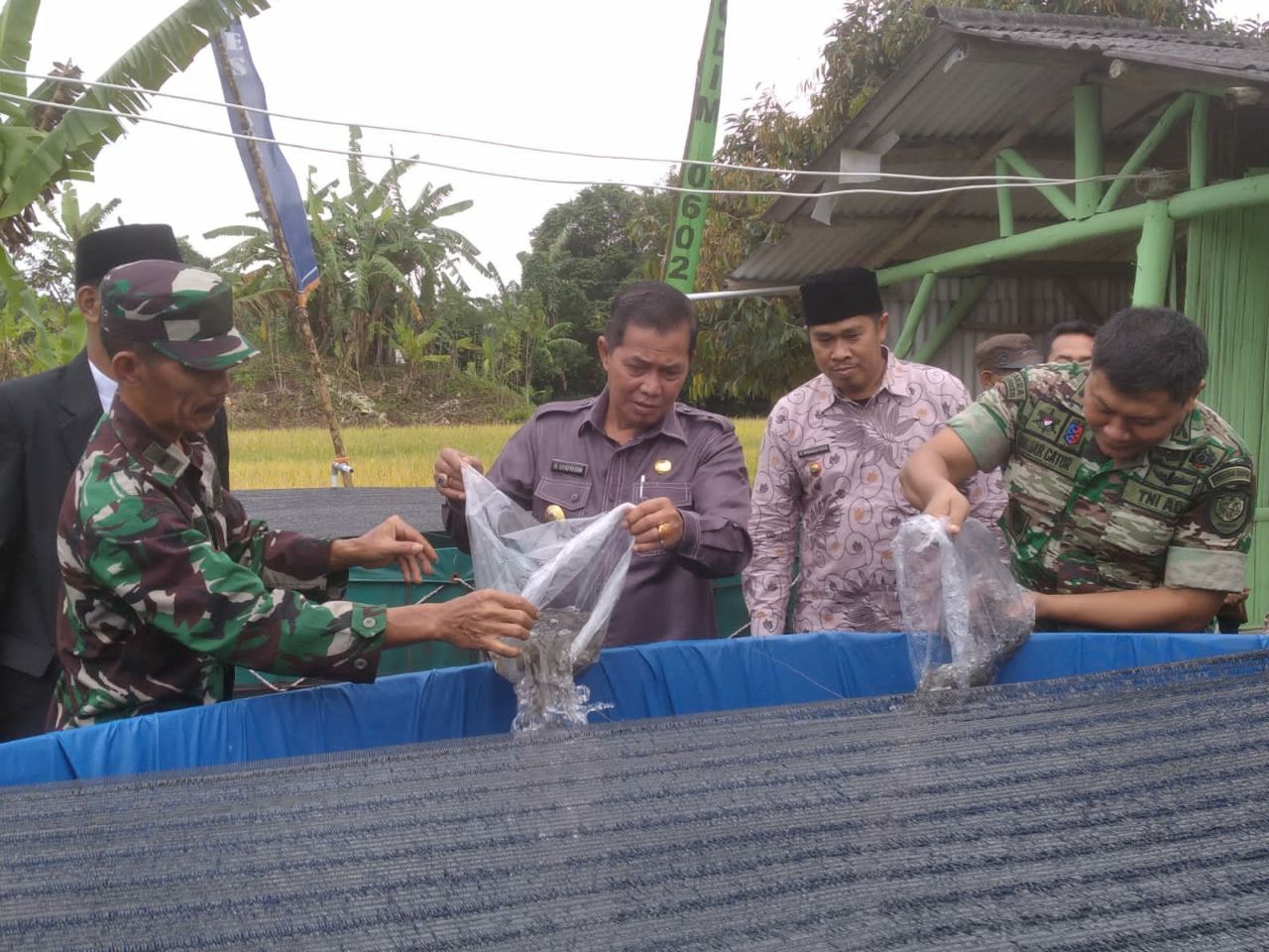 Pemkot Dan Kodim 0602/Serang Tabur 10.000 Benih Ikan Lele Sebagai Pilot Project Percontohan Budidaya