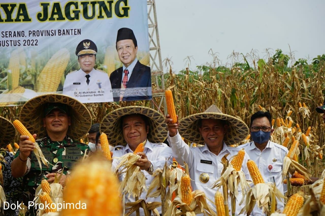 Wamen Pertanian Menyarankan Jagung Dikembangkan di Masyarakat Kota Serang