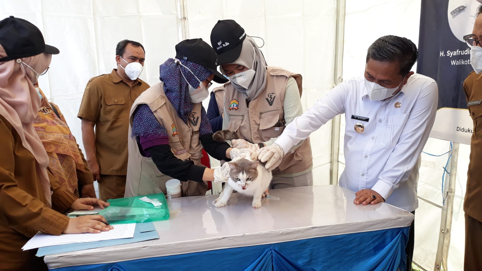 DKP3 Targetkan 100 Hewan Peliharaan tervaksin Rabies