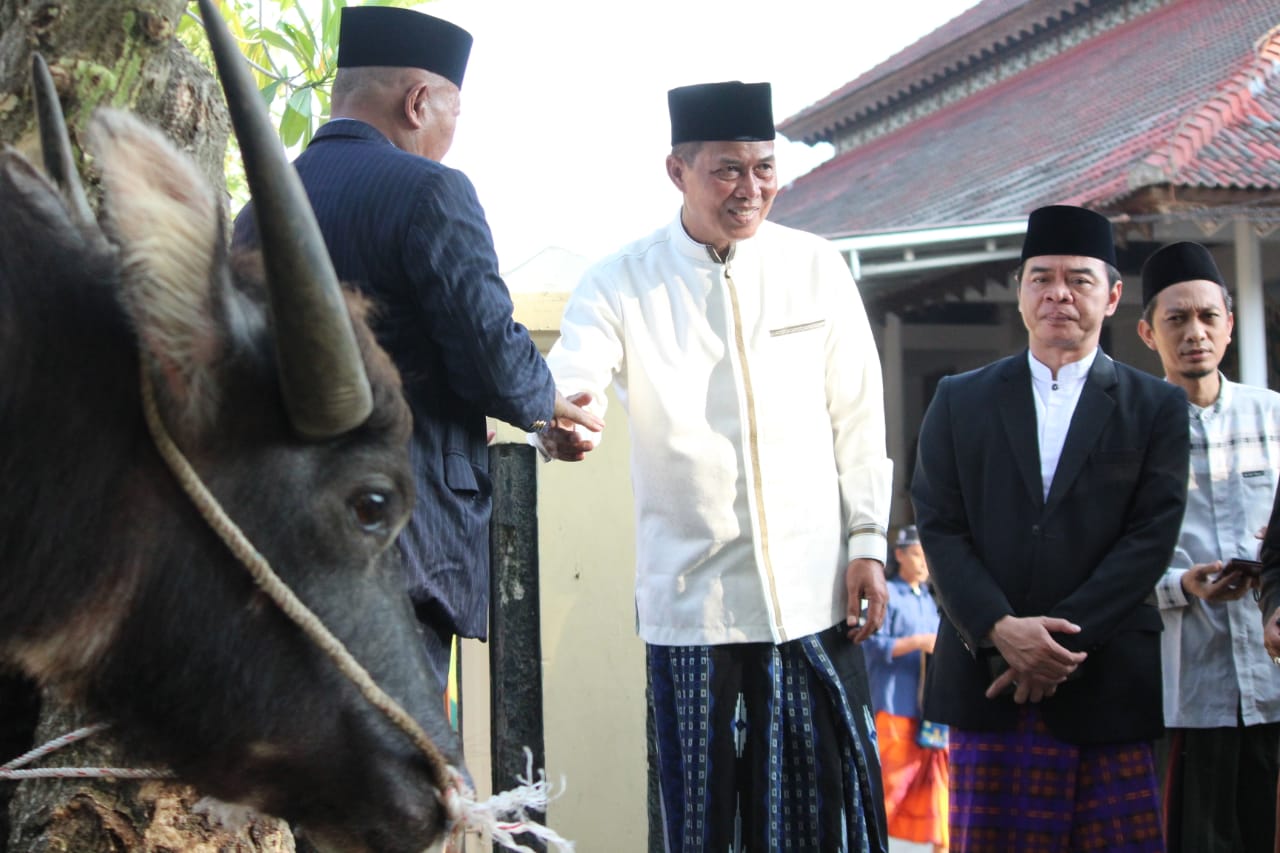 Pemkot Serahkan 76 Hewan Kurban Kepada Masyarakat
