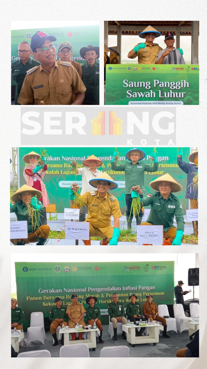 Sekolah Lapangan Sawah Luhur Panen Bawang Merah Hingga 13 Ton per Hektare.