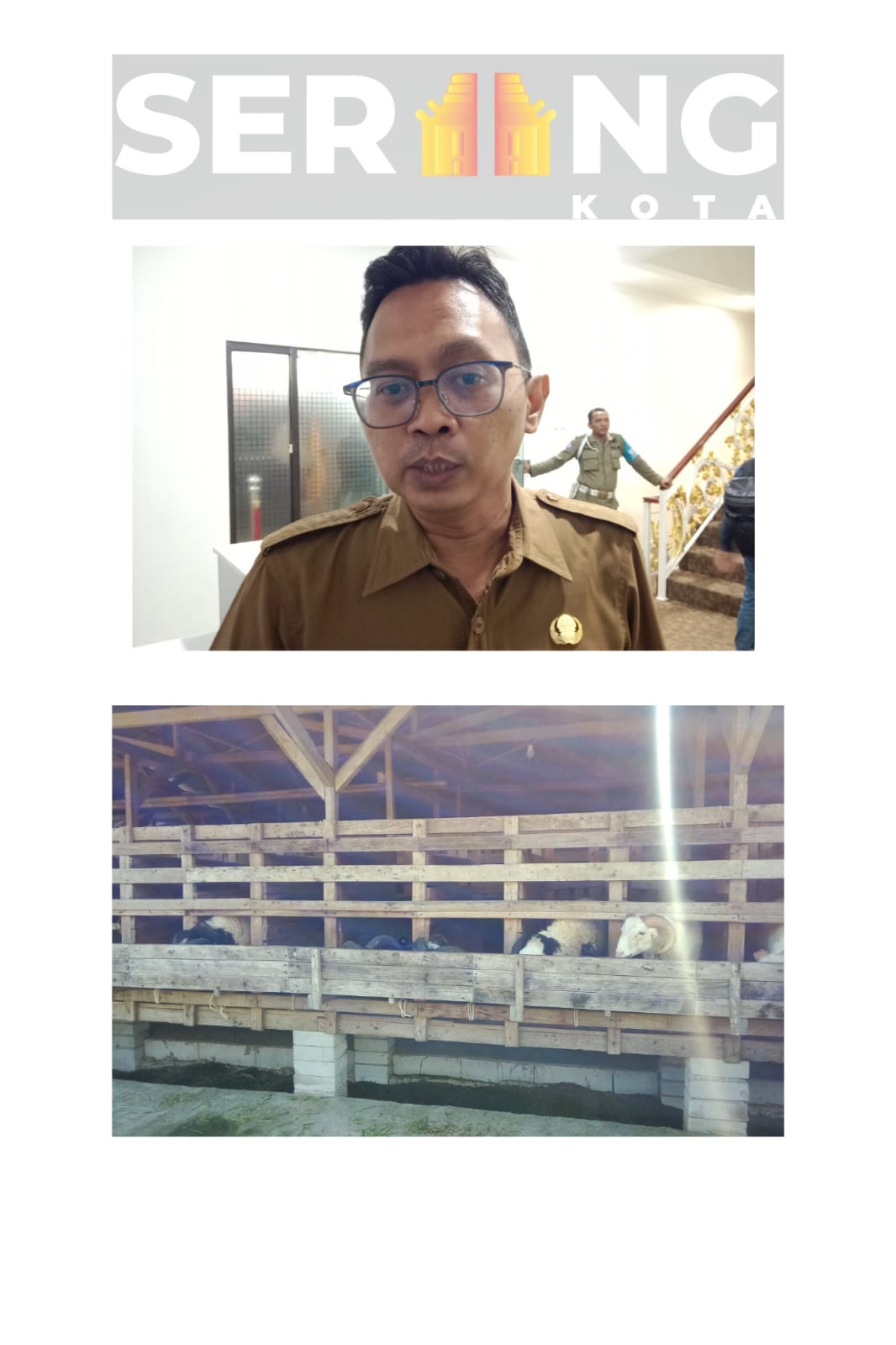 Hasil Pengecekan Kesehatan Hewan Qurban, DKP3 Kota Serang Karantina 35 Hewan Sakit.