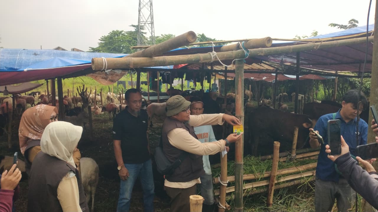 Pemkot Serang Perketat Pengawasan Hewan Kurban, Lapak Sehat Kini Dilengkapi QR Code