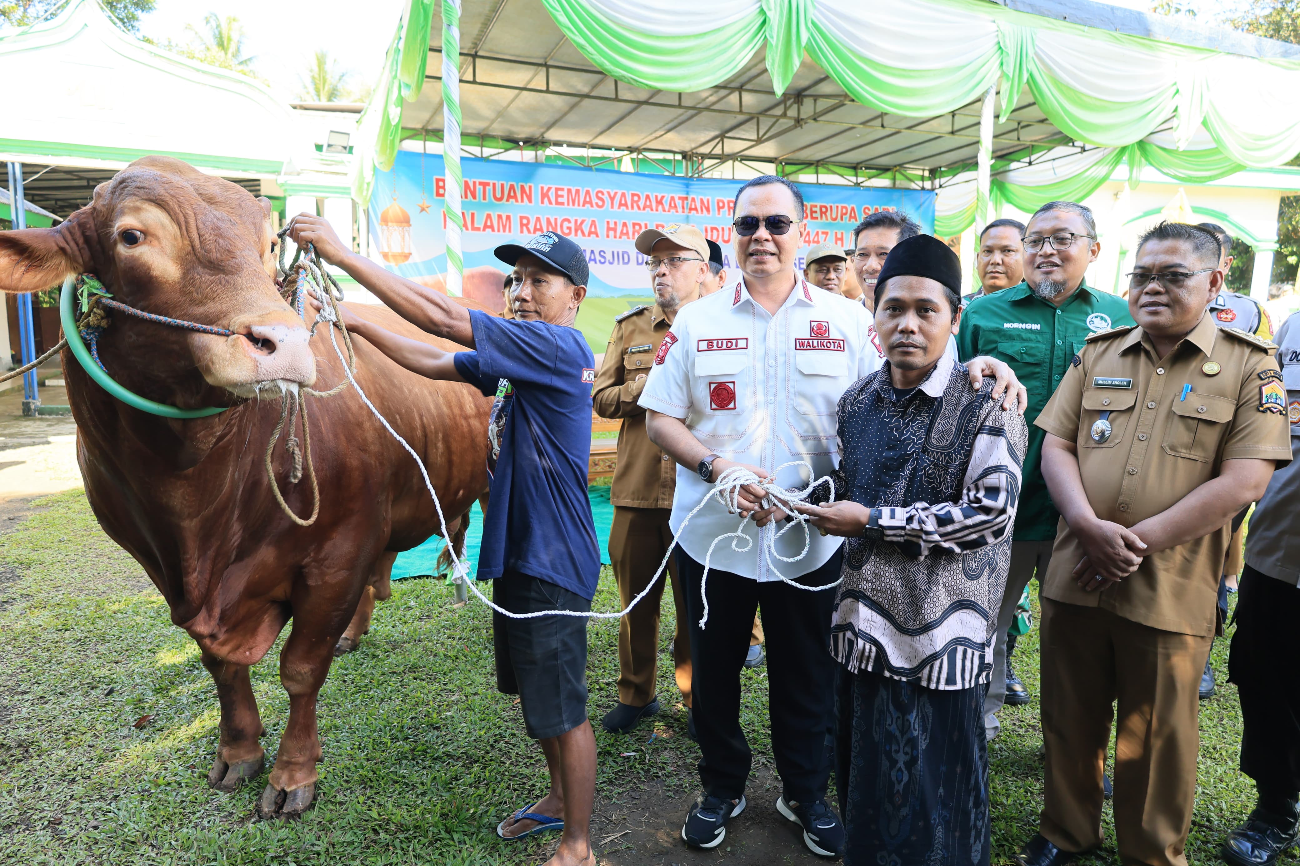 Wali Kota Serahkan Langsung Sapi Qurban Presiden Prabowo, Berat Capai 1,1 Ton